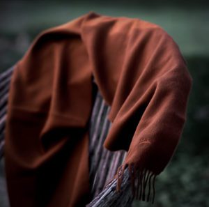 alpaca-catalog-scarf