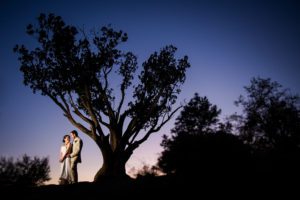Merry-Go-Round-Rock wedding tree photo