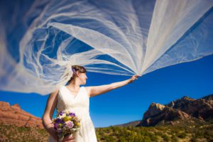 bride veil fly