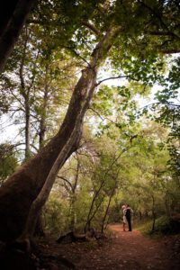 sedona-wedding-red-rock-crossing-kiss